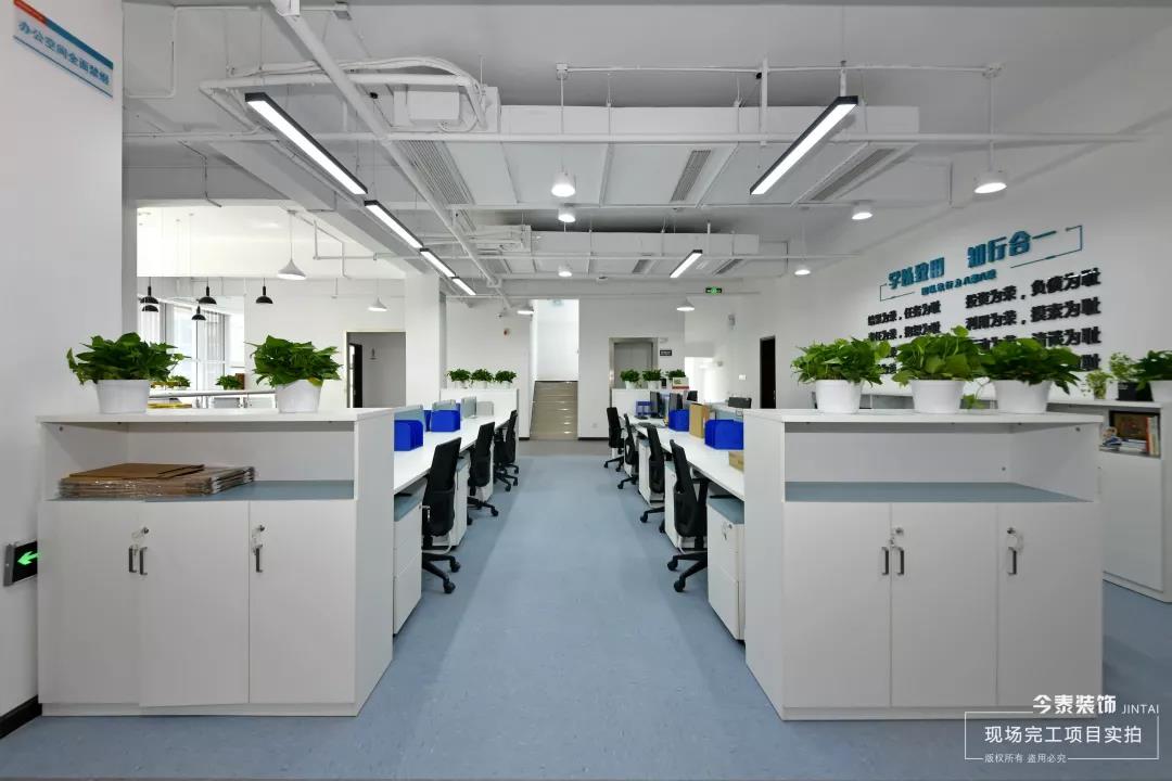 品于匠心 | 今泰裝飾生物科技公司項(xiàng)目完工驗(yàn)收(圖3)